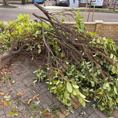 WhatsApp Image 2025-11-18 at 6.10.45 PM