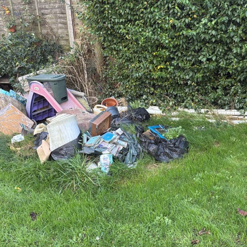 WhatsApp Image 2025-11-18 at 6.13.25 PM